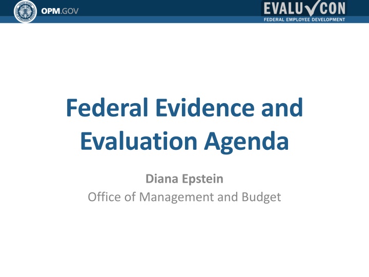 federal evidence and evaluation agenda n.w