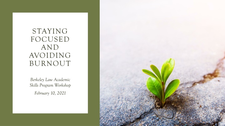 staying focused and avoiding burnout n.w