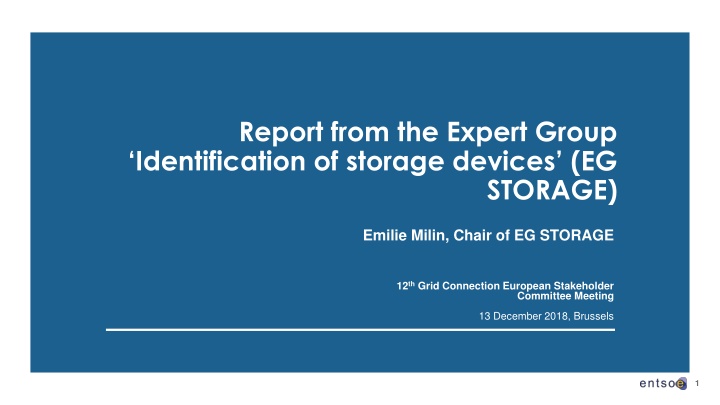 report from the expert group identification n.w