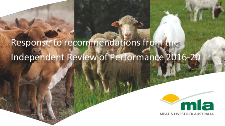 response to recommendations from the independent n.w