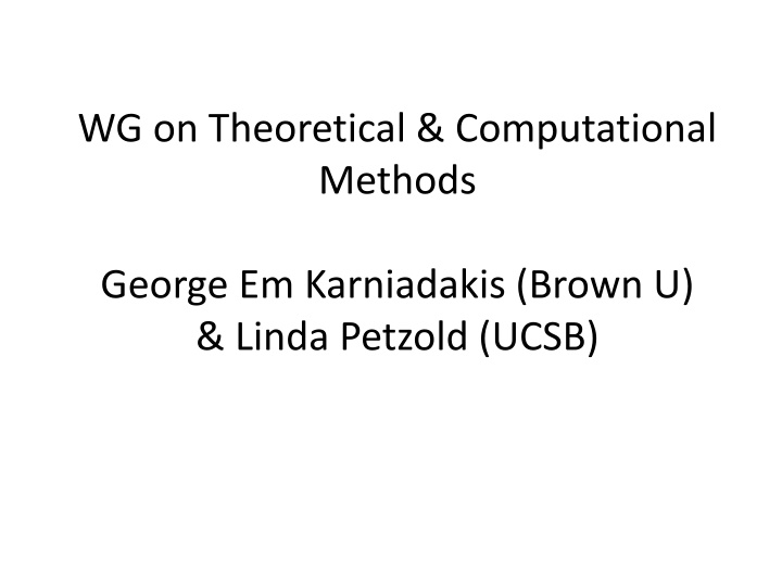 wg on theoretical computational methods n.w