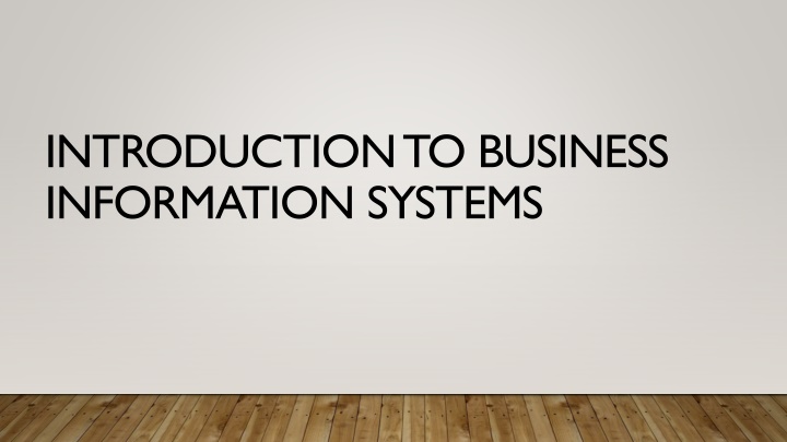 introduction to business information systems n.w