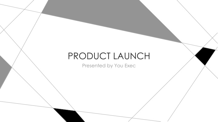 product launch presented by you exec n.w