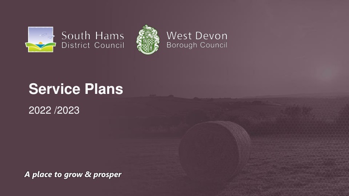 service plans n.w