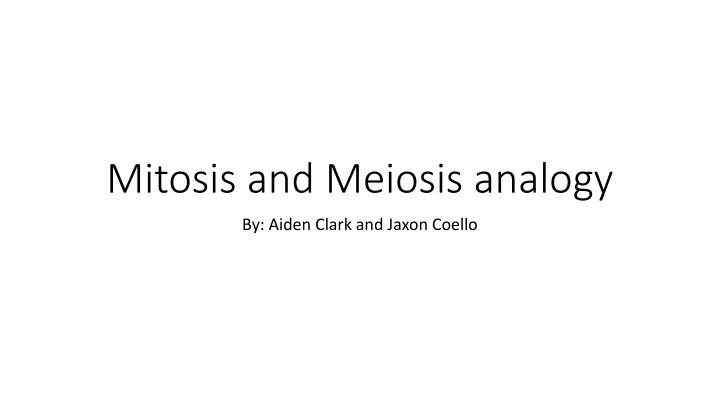 mitosis and meiosis analogy n.w