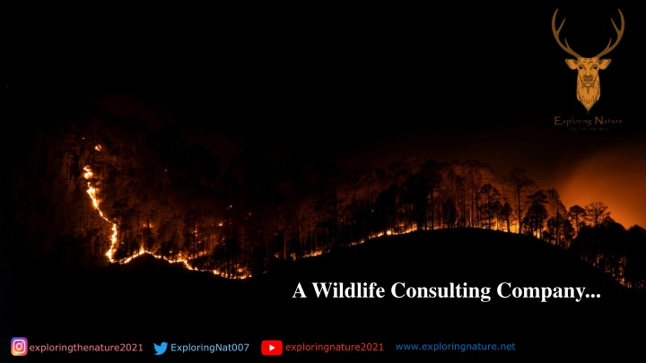 nature nature new presentation template n.w