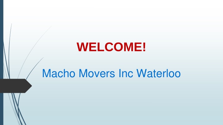 Best Office Movers in Pioneer Park