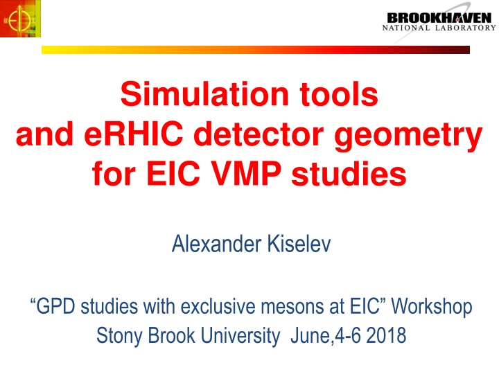simulation tools and erhic detector geometry n.w