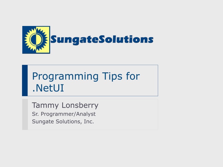 programming tips for netui n.w