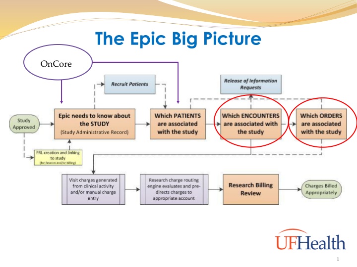 the epic big picture n.w