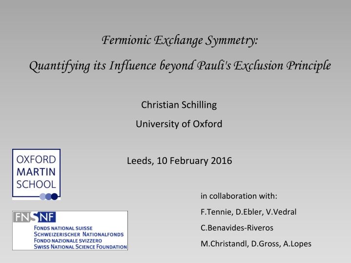 fermionic exchange symmetry n.w