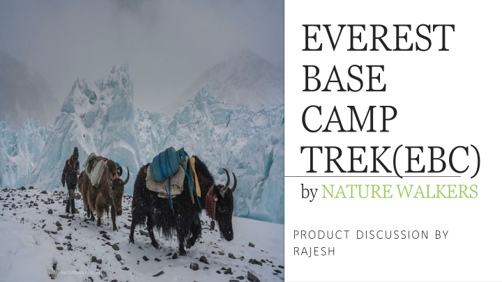 everest base camp trek ebc by nature walkers n.w