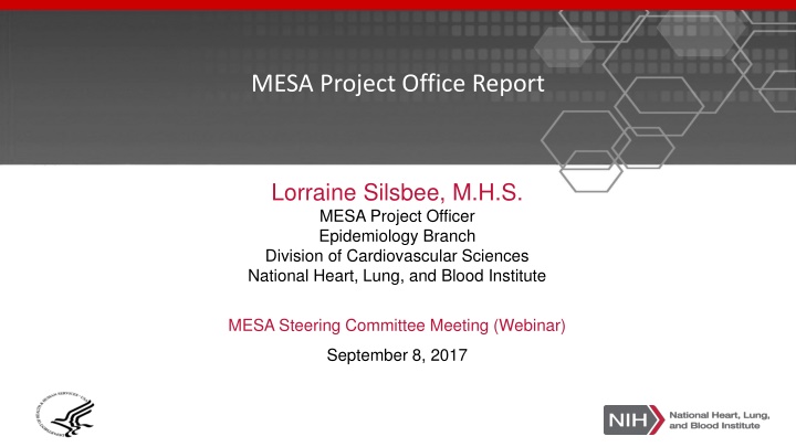 mesa project office report n.w