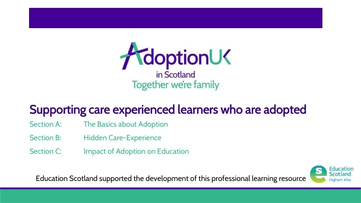 supporting care experienced learners n.w