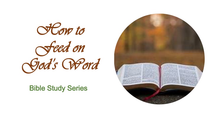 how to how to feed on feed on god s word n.w