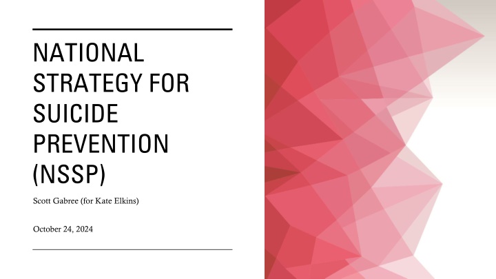 national strategy for suicide prevention nssp n.w