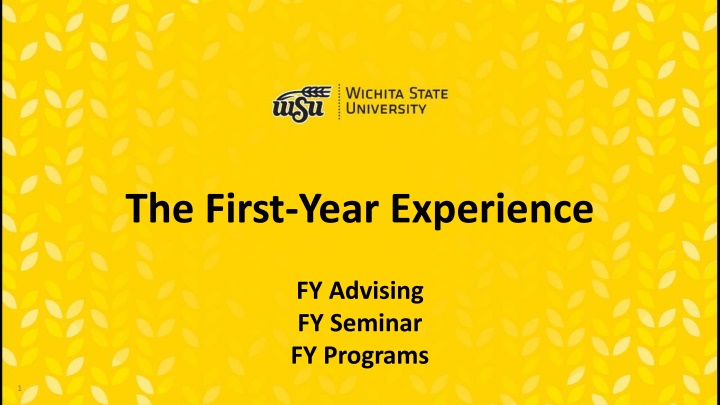 the first year experience n.w