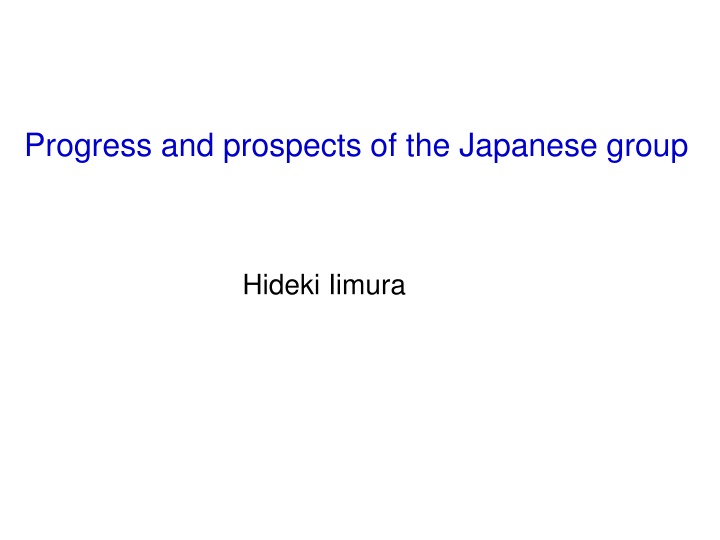 progress and prospects of the japanese group n.w