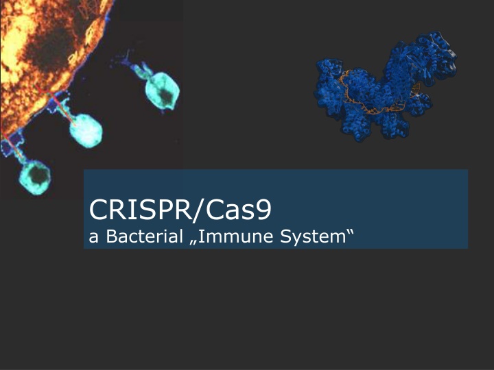 crispr cas9 a bacterial immune system n.w