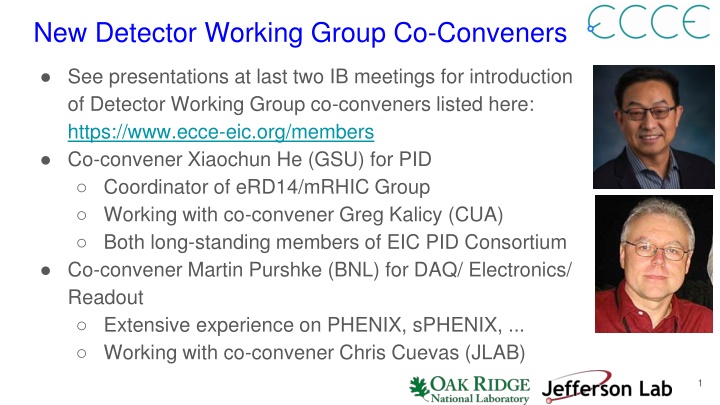new detector working group co conveners n.w