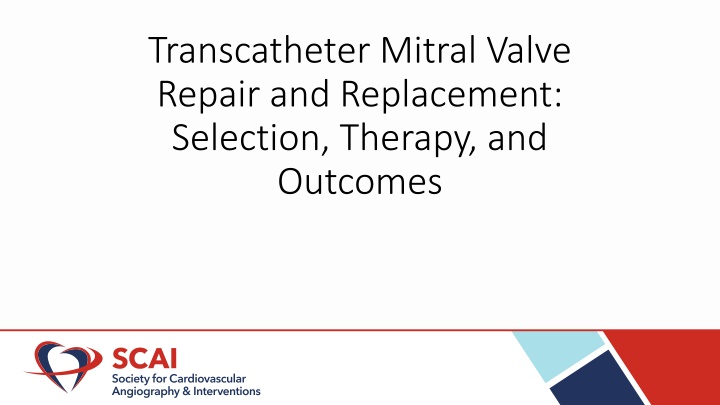transcatheter mitral valve repair and replacement n.w