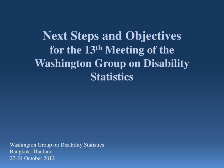 next steps and objectives for the 13 th meeting n.w