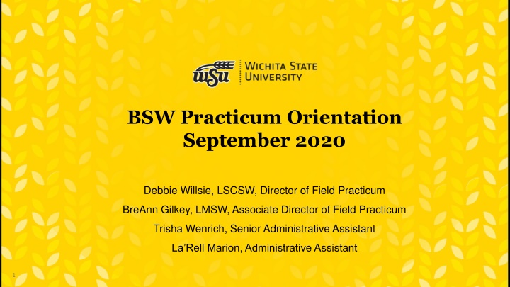 BSW Practicum Opportunities Overview