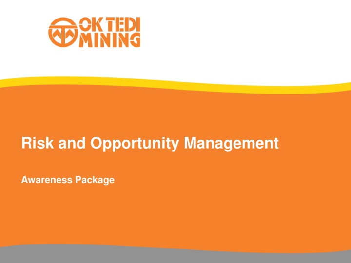risk and opportunity management n.w