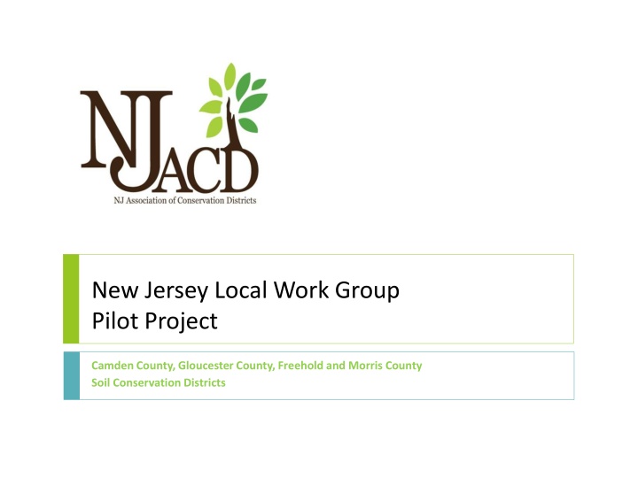 new jersey local work group pilot project n.w