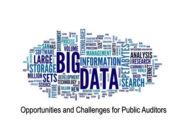 opportunities and challenges for public auditors n.w