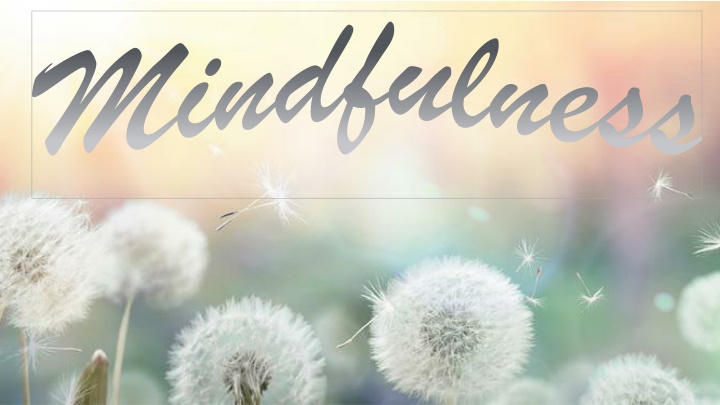 mindfulness n.w