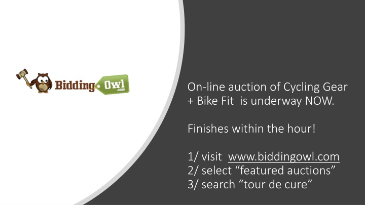 on line auction of cycling gear bike n.w