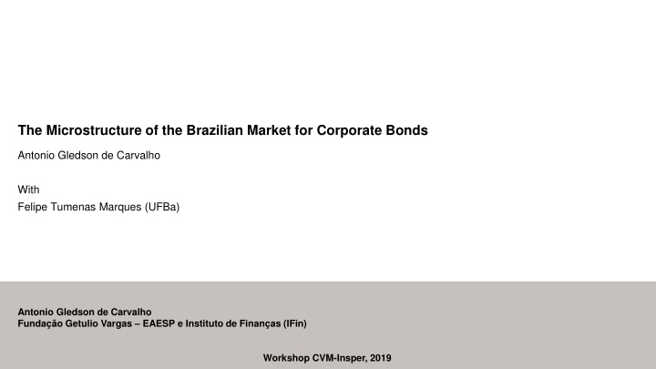 the microstructure of the brazilian market n.w
