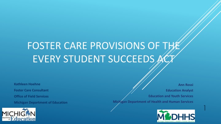foster care provisions of the every student n.w