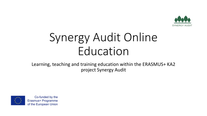 synergy audit online education n.w