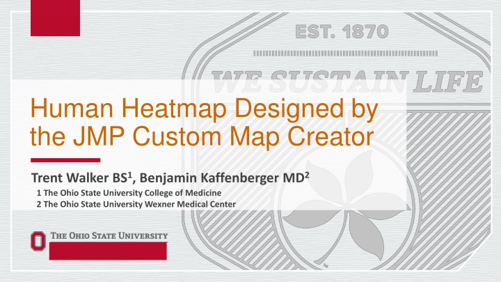 human heatmap designed by the jmp custom n.w