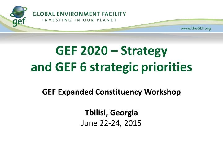 gef 2020 strategy and gef 6 strategic priorities n.w