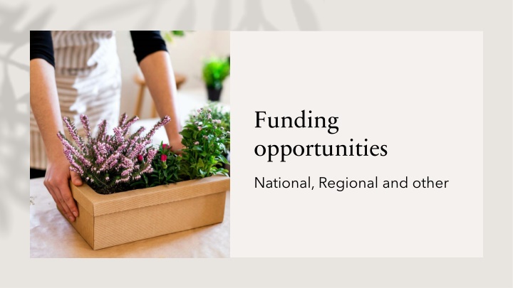 funding opportunities n.w
