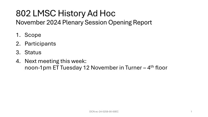 802 lmsc history ad hoc november 2024 plenary n.w