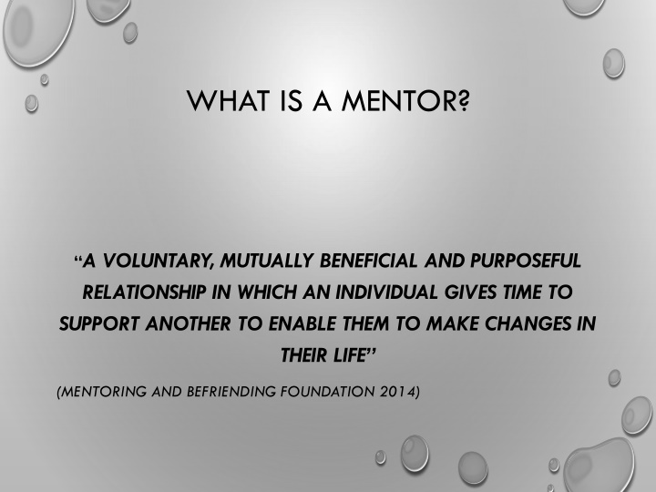 what is a mentor n.w
