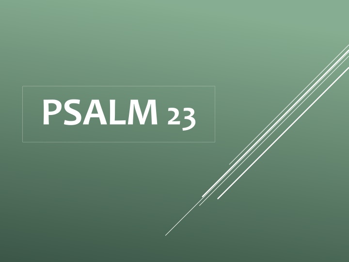 psalm 23 n.w