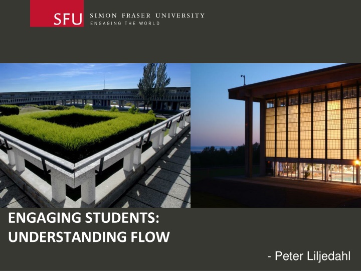 engaging students understanding flow n.w