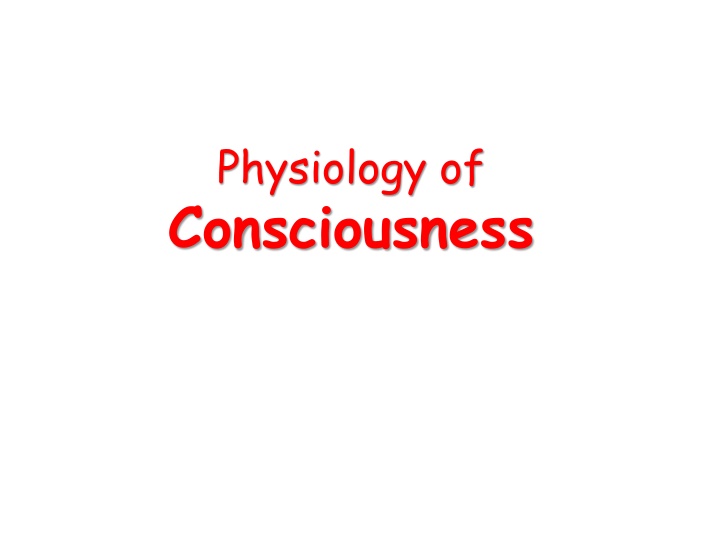 Physiology of Consciousness: Brain State & Levels Explained