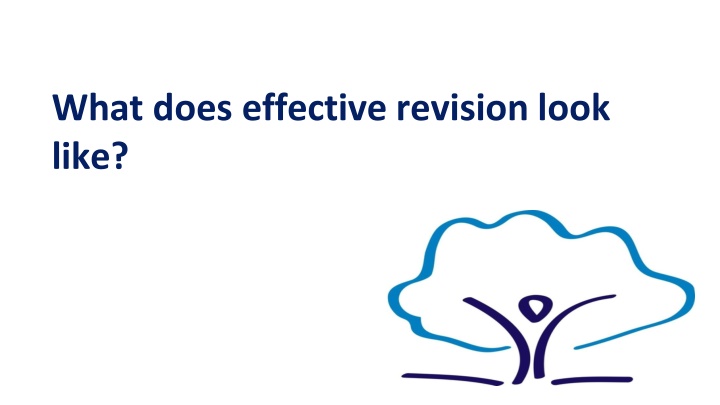 what does effective revision look like n.w