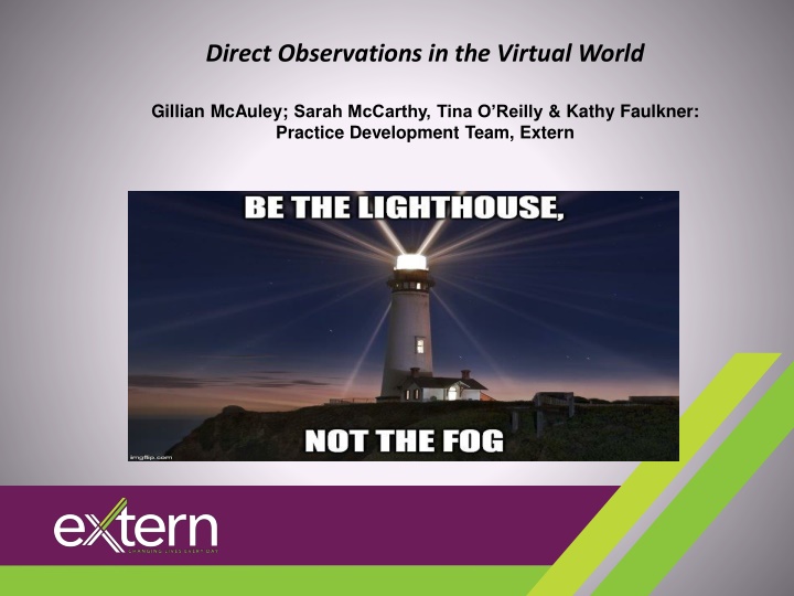direct observations in the virtual world n.w
