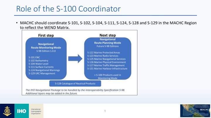 role of the s 100 coordinator n.w