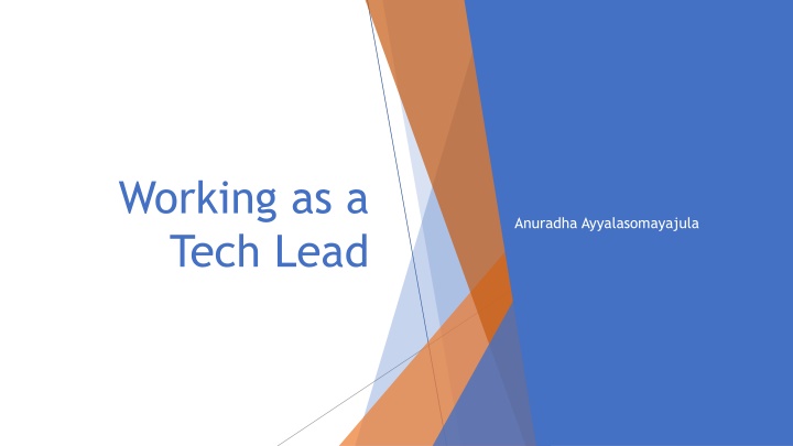 working as a tech lead n.w