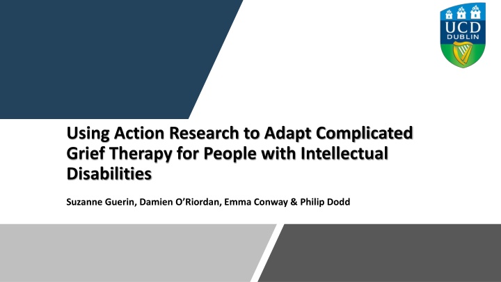 using action research to adapt complicated grief n.w