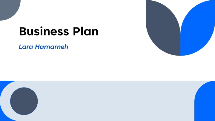 business plan lara hamarneh n.w