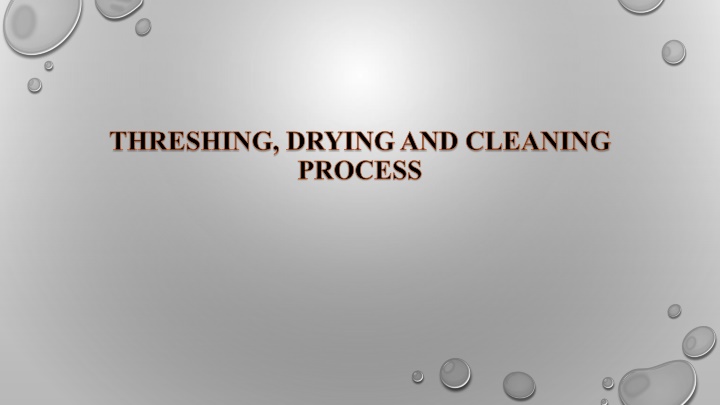 threshing drying and cleaning process n.w